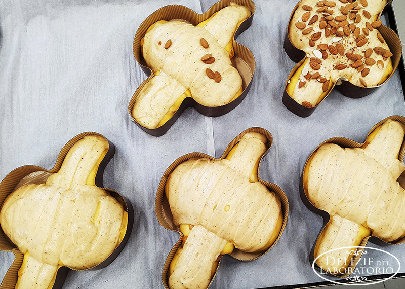 Colomba Artigianale Milano Per Le Imminenti Festivita 01