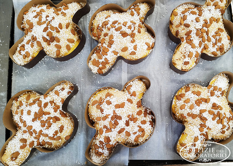 Colomba Artigianale Milano Per Le Imminenti Festivita 02
