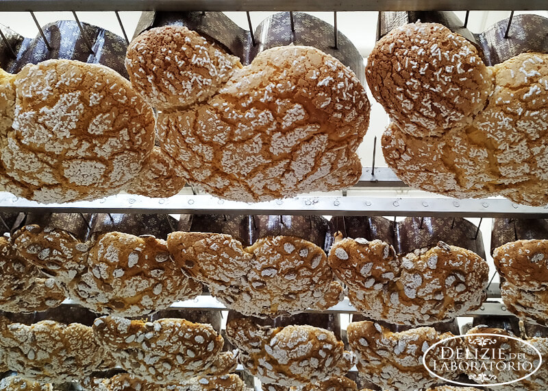 Colomba Artigianale Milano Per Le Imminenti Festivita 03