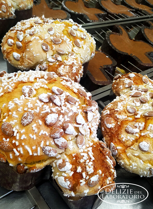 Colombe Di Pasqua Artigianali Milano Glassate Con Mandorle
