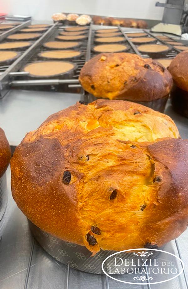 Menu Natalizio Asporto Milano: panettoni