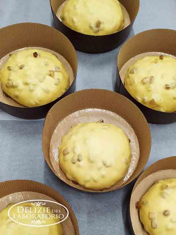 Speciale Natale Delizie Del Laboratorio Milano Pero 4