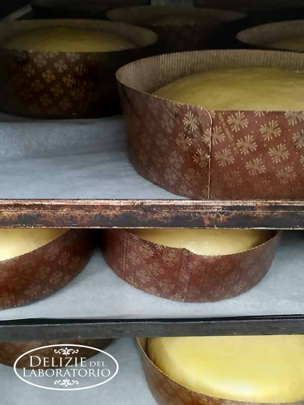 Speciale Natale Delizie Del Laboratorio Milano Pero 6