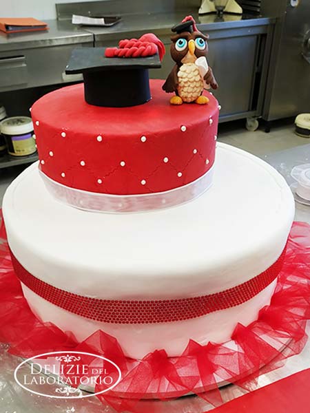 Torta Artigianale Cake Design Per Laurea Chiara Milano 03