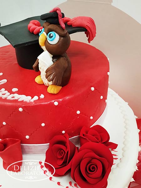 Torta Artigianale Cake Design Per Laurea Chiara Milano 04